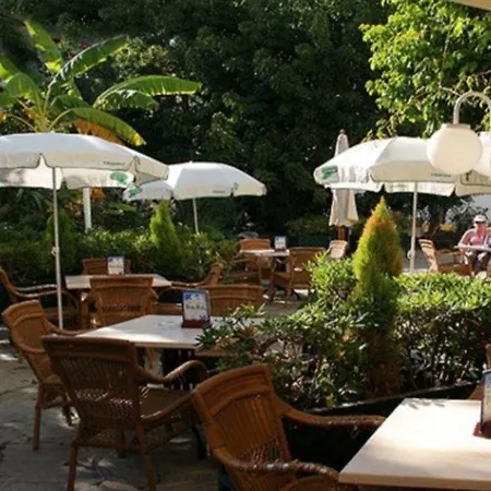 Toboso Chaparil Otel