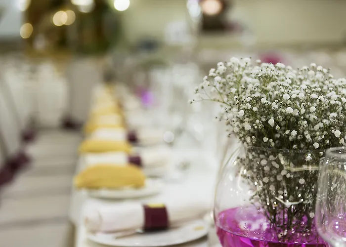 Toboso Chaparil Отель