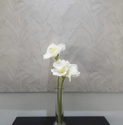 Hotel Toboso Chaparil 3*